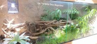 TERRARIUM VIVARIUM sur mesure